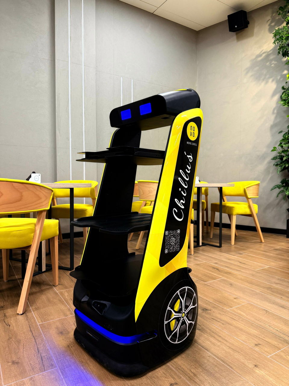 Robot kelnerski Chilluś w restauracji NOVO.CHILL