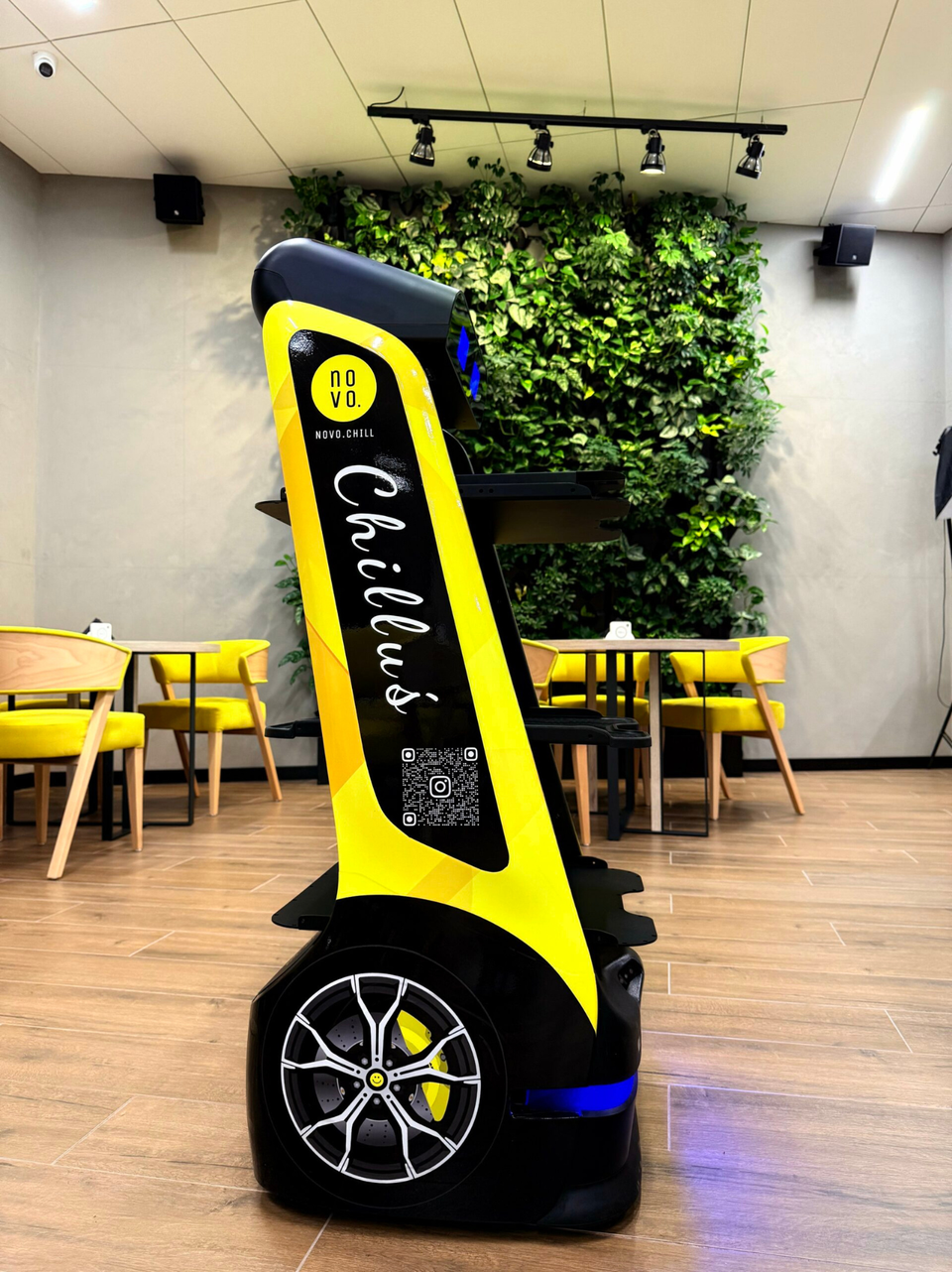 Stacja Chilluś przy ścianie z roślinami w restauracji NOVO.CHILL